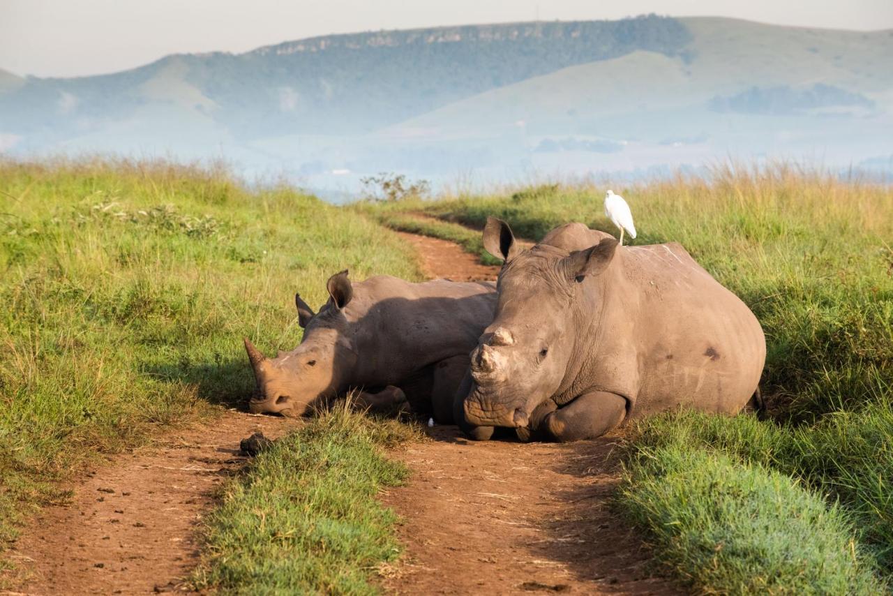 Tala Collection Game Reserve Silverton Dış mekan fotoğraf